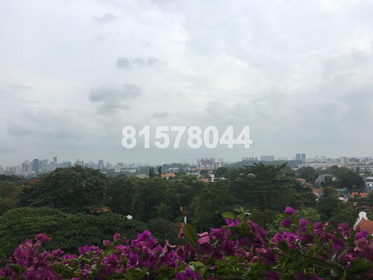 The Arcadia (D11), Condominium #168718072